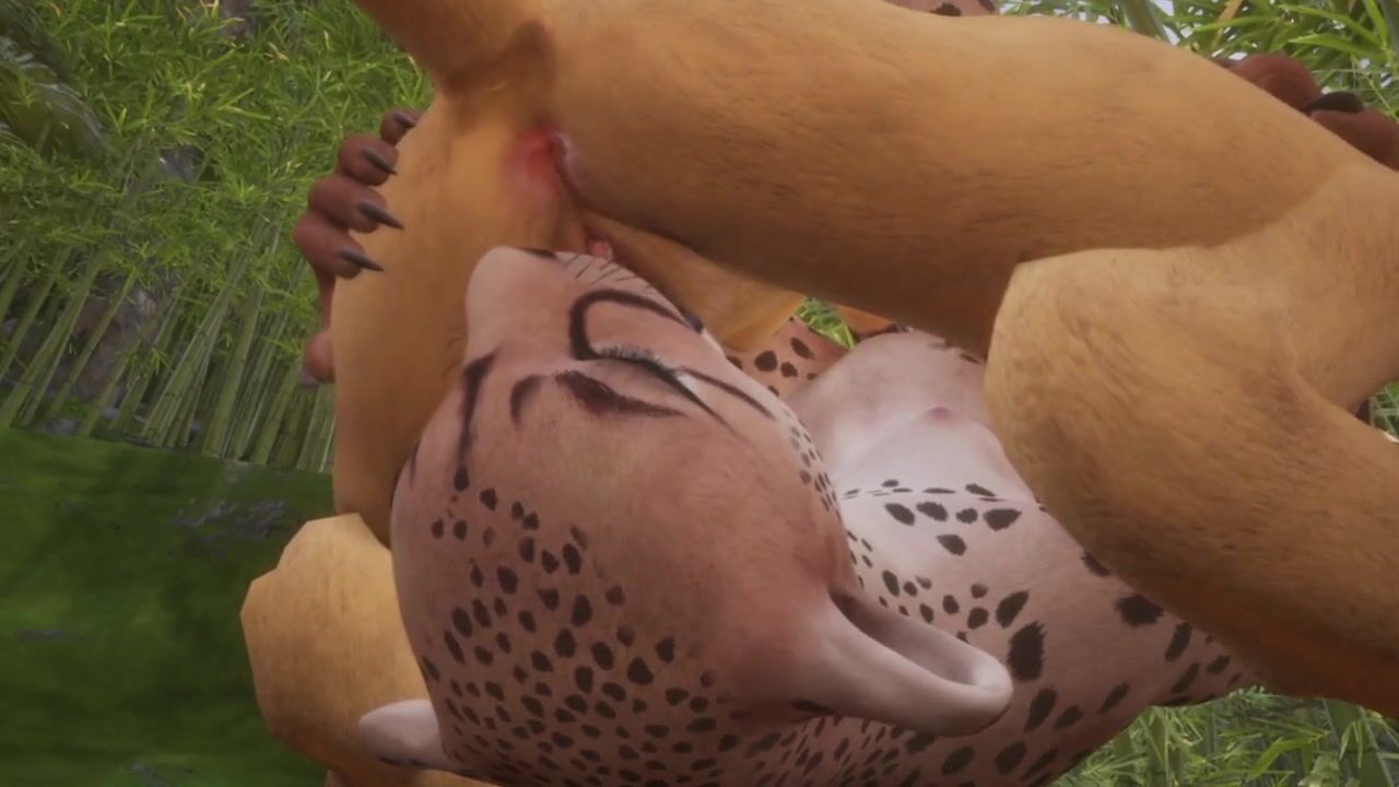 Lesbian Feline Cats Pussy Play Mouth Full Of Piss Ending Wild Life